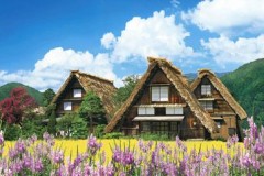 Shirakawa-go houses