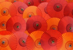Traditional umbrellas