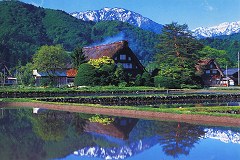 Hida paddy fields