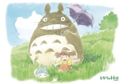 Ideal weather for a walk