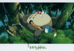 Napping with Totoro