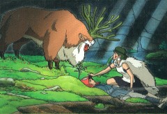 Mononoke - the test of life