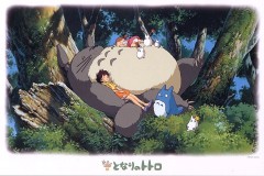 Napping with Totoro
