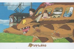 Riding the Catbus