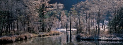 Tashiroike in winter