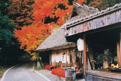 Kumano Old Road