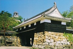Kochi Castle