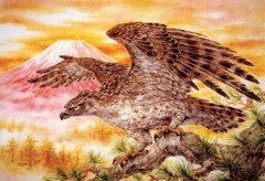 Hawk, Fuji, and pine