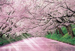 Hirosaki castle moat