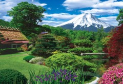 Mt. Fuji from Oshino