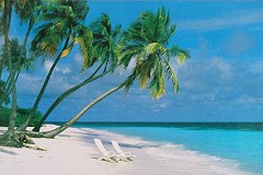 White beach