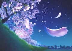 Starry blossom