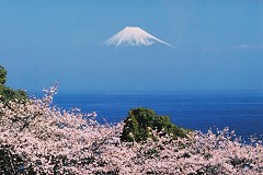 Fuji floating