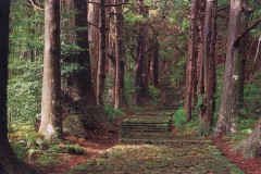 Kumano old road