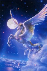 Pegasus - wings of freedom