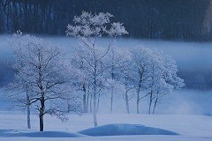 Frozen dawn
