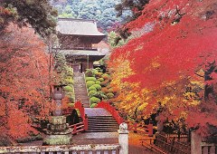 Unganji