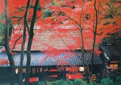 Sagano teahouse