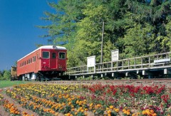 Train to happiness