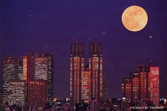 Shinjuku skyscrapers